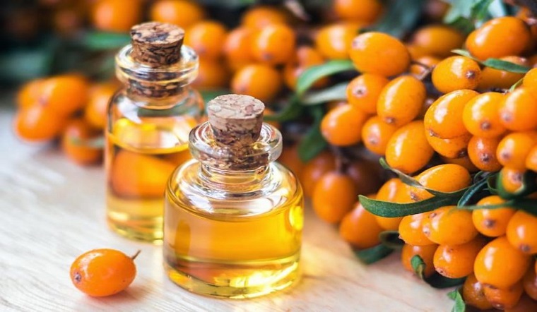 Quả hắc mai biển Sea Buckthorn chứa nhiều dưỡng chất quý